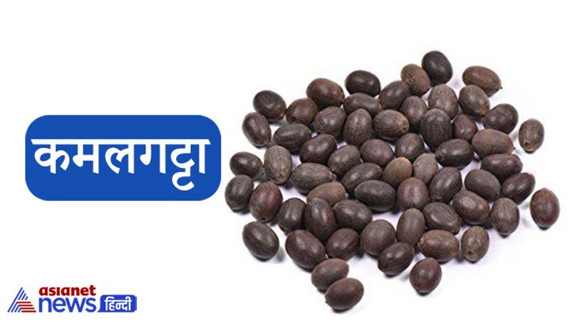 4. कमलगट्टा
धन प्राप्ति के लिए किए जाने वाले ज्योतिषीय उपायों में कई वस्तुओं का उपयोग किया जाता है, कमल गट्टा भी उन्हीं में से एक है। कमल गट्टा कमल के पौधे में से निकलते हैं व काले रंग के होते हैं। यह बाजार में आसानी से मिल जाते हैं।
