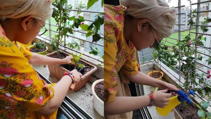 inspiring story of Sruchi Vadalia who planted 30,000 trees inspiring story of Sruchi Vadalia who planted 30,000 trees