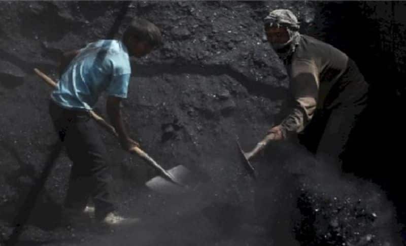 cannot be banned 1330 crore worth of coal imports for power - Chennai High Court.