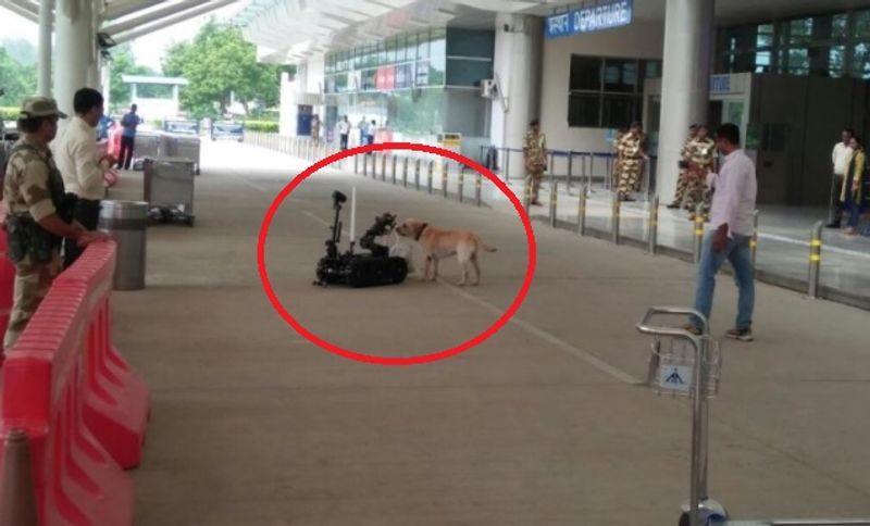6 माह का था तभी, भेज दिया गया ट्रेनिंग सेंटर
सीआईएसएफ के डाग स्क्वायड में तैनात जॉनी लेब्राडोर प्रजाति का है और करीब 10 वर्ष का है। साल 2012 में जब वह 6 माह का था तब ही पंचकूला, हरियाणा से खरीदा गया था। पंचकूला में स्थित आईटीबीपी के एंटीसीडी (नेशनल ट्रेनिंग सेंटर फार डॉग) में रखकर 6 माह तक उसे ट्रेनिंग दी गई।
(फाइल फोटो)