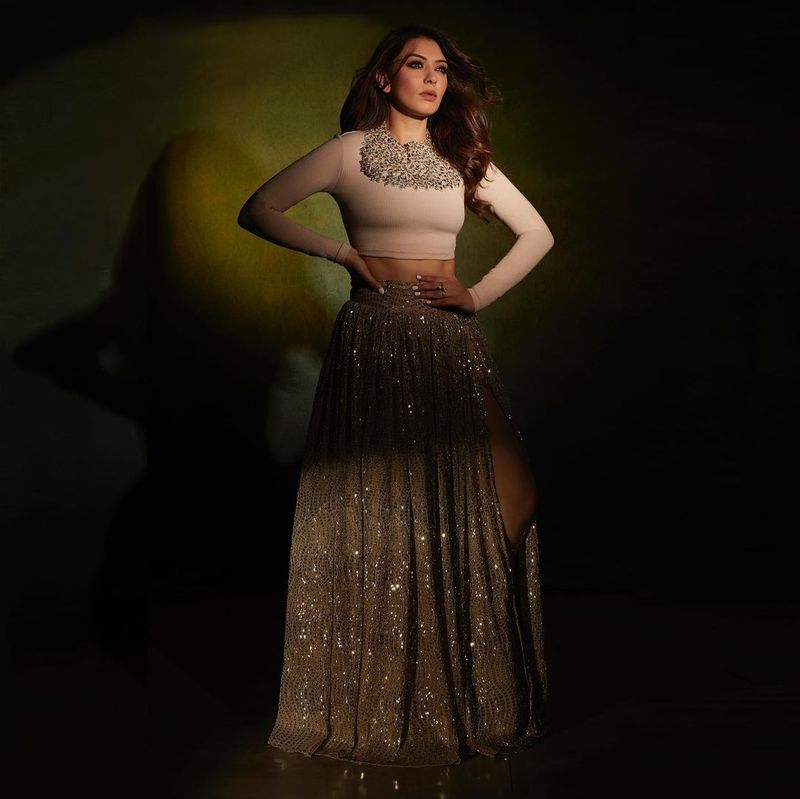 Actress Hansika will be part of nine projects in 2022