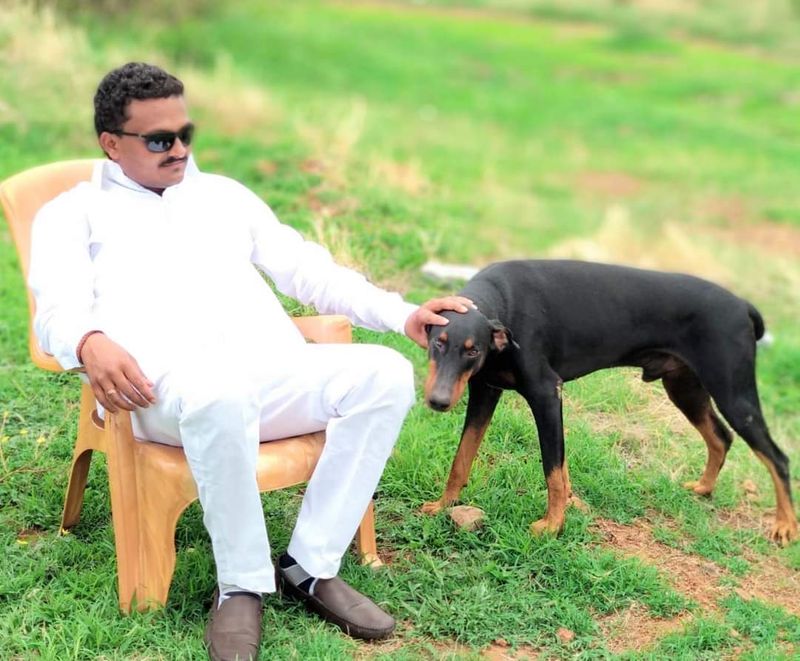 <p>ದ್ರಾಕ್ಷಿ ಹೊಲದಲ್ಲಿ ಕೆಲಸ ಮಾಡುವಾಗ ಟ್ರಾಕ್ಟರ್ ನಲ್ಲಿ ಬಂದು ಸೇರಿದ್ದ 6ಅಡಿ ಸರ್ಪ. ಗಮನವಿಲ್ಲದೆ ಟ್ರಾಕ್ಟರ್ ಚಾಲನೆಗೆ ಮುಂದಾಗಿದ್ದ ಕಲ್ಲನಗೌಡ ಪಾಟೀಲ್ ಈ ವೇಳೆ ಮಾಲಿಕನ ಪ್ರಾಣ ಉಳಿಸಲು ಬಂದ ಪ್ರೀತಿಯ ಶ್ವಾನ ರಾಜಾ..!!</p>