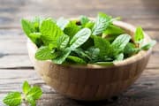health benefits drinking mint leaves water 