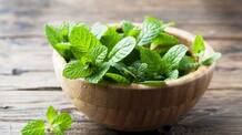 health benefits drinking mint leaves water 