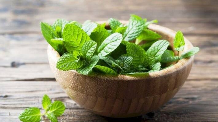 health benefits of mint or pudina leaves you must know health benefits of mint or pudina leaves you must know