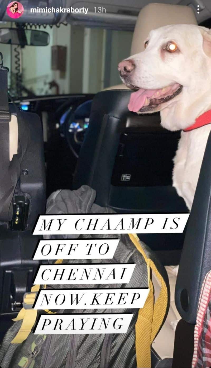 Mimi Chakraborty's dog is 'real fighter' as he flies off to Chennai for cancer treatment ANK
