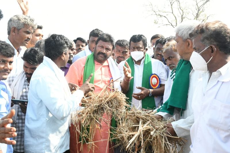 <p>ಬೆಳವಟಿಗೆಯಲ್ಲಿ ನಡೆದ ವೇದಿಕೆ ಕಾರ್ಯಕ್ರಮದಲ್ಲಿ ಮಾತನಾಡಿದ ಸಚಿವ ಬಿ.ಸಿ.ಪಾಟೀಲ್, ನಮ್ಮ ರೈತರಿಗೆ ಯಾವುದೇ ಬಗೆಯ ಗುರುತಿನ ಚೀಟಿ ಇಲ್ಲ. ಈ ನಿಟ್ಟಿನಲ್ಲಿ ರೈತರಿಗೆ ‘ಸ್ವಾಭಿಮಾನಿ ರೈತ’ ಎಂಬ ಗುರುತಿನ ಚೀಟಿ ವಿತರಿಸಲು ನಿರ್ಧರಿಸಲಾಗಿದೆ. ಇದರಲ್ಲಿ ರೈತನ ಫೋಟೋ, ಆಧಾರ ಸಂಖ್ಯೆ, ಊರು, ವಿಳಾಸ ದಾಖಲಾಗಿರುತ್ತದೆ. ಕ್ಯೂಆರ್ಕೋಡ್ಕೂಡ ಇರುತ್ತದೆ. ಈಗಾಗಲೇ ಕೊಪ್ಪಳ ಜಿಲ್ಲೆಯಲ್ಲಿ ಪ್ರಾಯೋಗಿಕವಾಗಿ 1.5 ಲಕ್ಷ ರೈತರಿಗೆ ಈ ಕಾರ್ಡ್ವಿತರಿಸಲಾಗುತ್ತಿದ್ದು ಮುಂದೆ ರಾಜ್ಯದ 68 ಲಕ್ಷ ರೈತರಿಗೆ ವಿಸ್ತರಿಸಲಾಗುವುದು ಎಂದರು.</p>