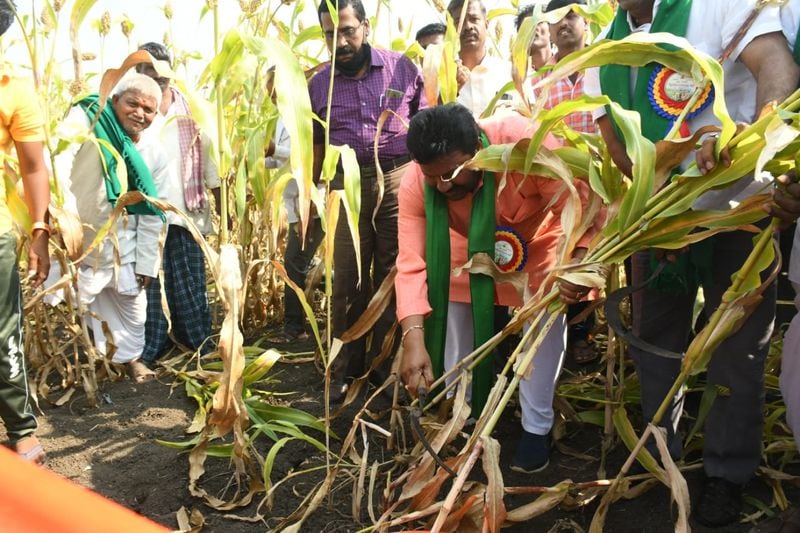 <p>ರೈತರ ಬೆಳೆಗಳಿಗೆ ಕೀಟಬಾಧೆ, ರೋಗ ತಗುಲಿದರೆ ಪರಿಹಾರಕ್ಕಾಗಿ 108 ಆ್ಯಂಬುಲೆನ್ಸ್ಮಾದರಿಯಲ್ಲಿ ‘ಕೃಷಿ ಸಂಜೀವಿನಿ’ ಎಂಬ ಹೆಸರಿನಲ್ಲಿ ವಾಹನಕ್ಕೆ ಚಾಲನೆ ನೀಡಲಾಗುತ್ತಿದೆ. ಇದಕ್ಕಾಗಿ 155313 ಸಂಖ್ಯೆಗೆ ರೈತರು ಕರೆ ಮಾಡಿದರೆ ಸಾಕು. ಕೃಷಿ ಇಲಾಖೆ ಅಧಿಕಾರಿಗಳು, ಕೃಷಿ ತಜ್ಞರು ರೈತರ ಹೊಲಗಳಿಗೆ ತೆರಳಿ ಬೆಳೆಗೆ ಆಗಿರುವ ಸಮಸ್ಯೆ, ಕೀಟಬಾಧೆ ನಿವಾರಣೆಗೆ ಕೈಗೊಳ್ಳಬೇಕಾದ ಕ್ರಮ, ಮಣ್ಣಿನ ಪರೀಕ್ಷೆಯನ್ನು ಎದುರಿನಲ್ಲೇ ಮಾಡಿಕೊಡಲಿದ್ದಾರೆ ಎಂದು ವಿವರಿಸಿದರು.</p>