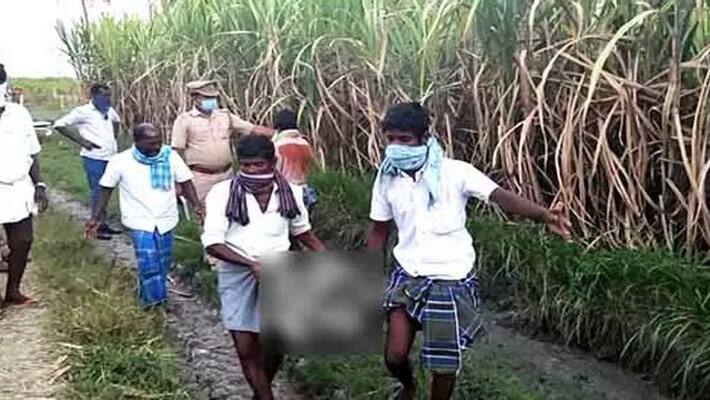 Ariyalur Shocking Man Death body torn two who Was Trapped In The Electric Fence Ariyalur Shocking Man Death body torn two who Was Trapped In The Electric Fence