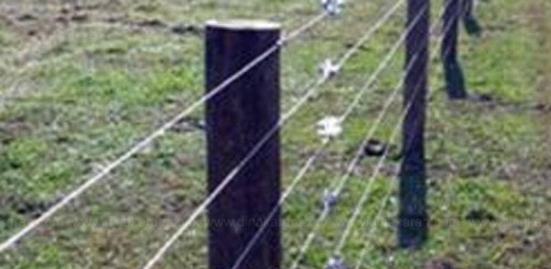 Ariyalur  Shocking Man Death body torn two who Was Trapped In The Electric Fence