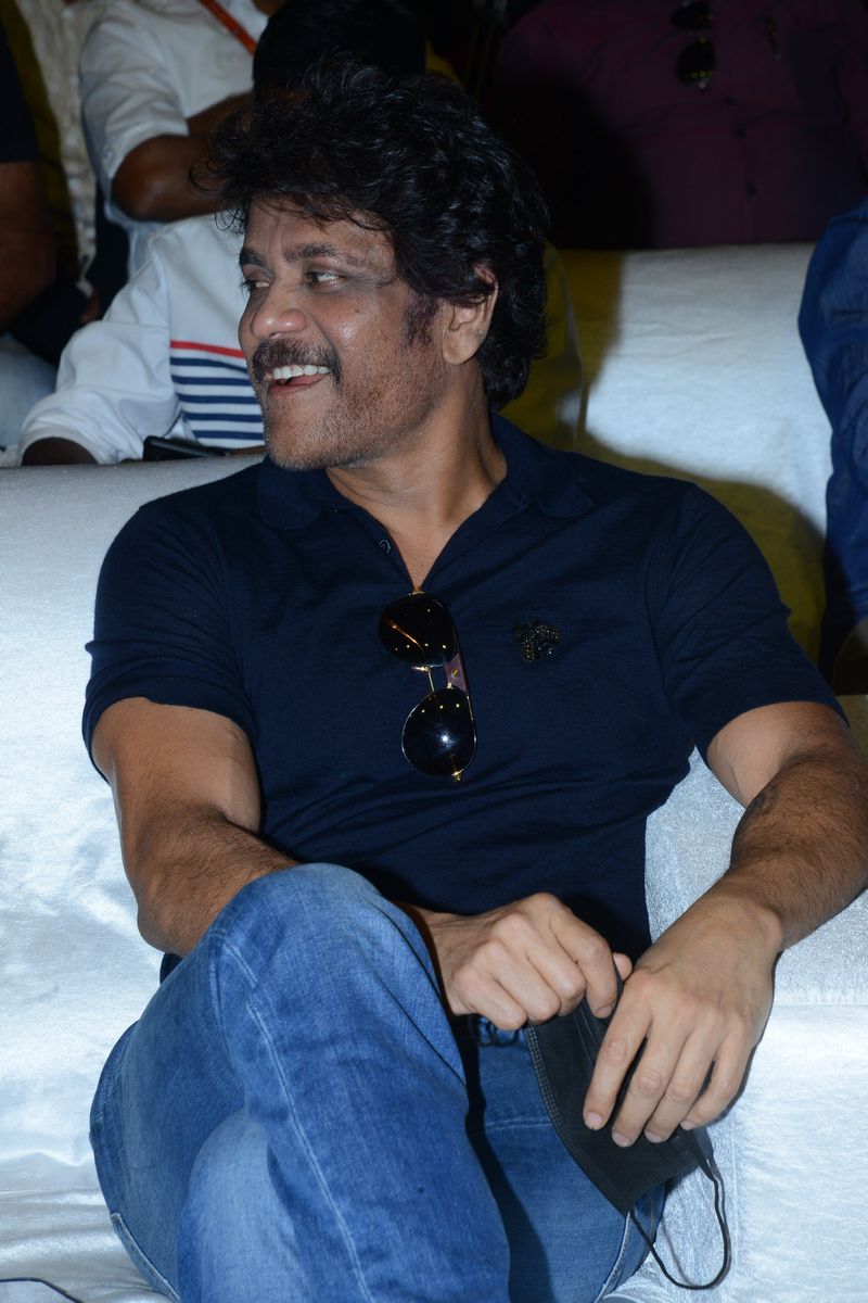 సినిమా హైదరాబాద్ సహా హిమాచల్ ప్రదేశ్లోని మనాలీలో ఈ సినిమా షూటింగ్ జరుపుకుంది. యథార్థ ఘటనల ఆధారంగా రూపొందుతోన్న ఈ చిత్రంలో ఏసీపీ విజయ్ వర్మగా నాగార్జున చేస్తున్నారు. క్రిమినల్స్ను నిర్దాక్షిణంగా డీల్ చేసే విధానం వల్ల సినిమాలో ఆయనను 'వైల్డ్ డాగ్' అని పిలుస్తుంటారు.
