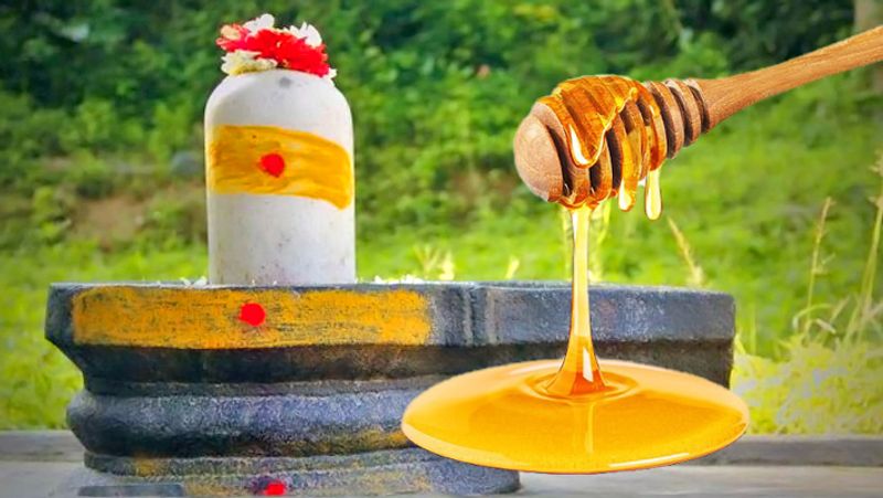 ఆరోగ్యం పట్ల శ్రద్ధ ఉన్నవారు ఎవరైనా పంచదార తినడానికి బుదులు బెల్లం, లేదా తేనె ఉపయోగిస్తారు. అంతేకాదు.. తేనె వల్ల మనకు చాలా ఆరోగ్య ప్రయోజనాలు ఉన్నాయి కాబట్టి.. పలు రకాల స్వీట్స్ లో లేదా ఉదయాన్నే వేడీ నీటిలో ఇలా రకరకాలుగా తేనేను వినియోగిస్తారు.