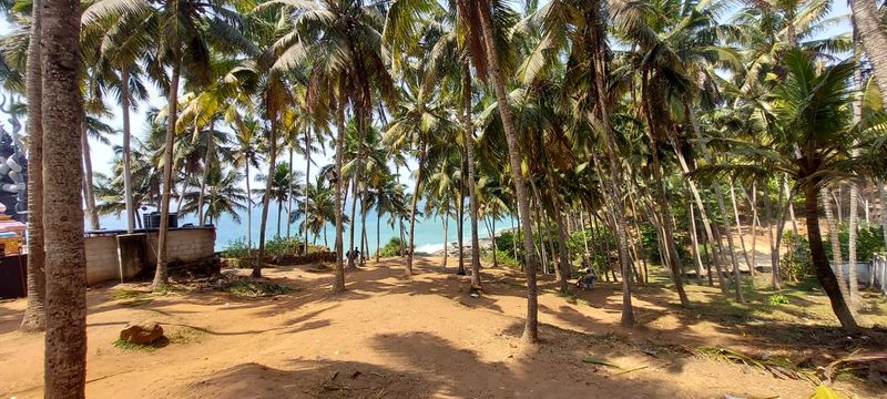 <p>കാഴ്ചയിൽ ആഴമില്ലെന്ന് തോന്നുമെങ്കിലും പാറക്കൂട്ടങ്ങള്ക്കിടെയില് ചുഴികളും കയങ്ങളും വെള്ളത്തിനടിയിലെ കുത്തനെയുള്ള ചരിവും പാറക്കൂട്ടങ്ങളും കൂടിച്ചേരുമ്പോള് നീന്തലറിയാവുന്ന സഞ്ചാരികള് പോലും അപകടത്തില്പ്പെടുന്നു. അപകടത്തിൽപ്പെട്ട് കടലിലേക്ക് വീഴുന്നവർ പലപ്പോഴും ആഴങ്ങളിലെ പാറയിടുകളിൽ അകപ്പെട്ട് രക്ഷപ്പെടാൻ പറ്റാതയോ പാറകെട്ടുകളിൽ തലയടിച്ചോ ആണ് അധികവും മരിക്കുന്നത്. </p>