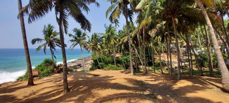<p>ആഴിമലയ്ക്ക് സമീപത്തെ ബീച്ചിൽ മാത്രമാണ് നിലവില് കോസ്റ്റ് ഗാര്ഡിന്റെ സേവനമുള്ളത്. സഞ്ചാരികളുടെ എണ്ണത്തിലുണ്ടായ വര്ദ്ധനവിനെ തുടര്ന്ന് ഇവിടെയും കോസ്റ്റല് ഗാര്ഡിന്റെ സേവനം ലഭ്യമാക്കണമെന്ന് നാട്ടുകാര് ആവശ്യപ്പെട്ടു. ക്ഷേത്രത്തിന് സമീപത്ത് കൂടിയോ കടൽ തീരം വഴിയോ ആരെങ്കിലും നടന്ന് വിജനമായ പ്രദേശത്തിന് ഉള്ളിലേക്ക് പോയാൽ ശ്രദ്ധിക്കാനോ തടയാനോ സാധിക്കില്ലെന്നും നാട്ടുകാര് പറഞ്ഞു. </p>