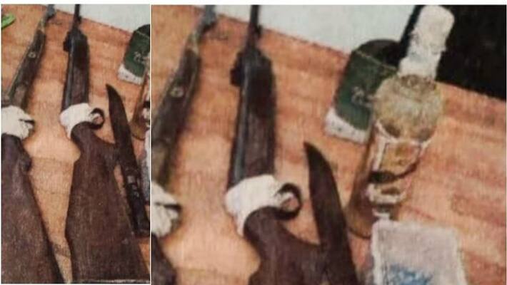 guns and snake ghee were seized owner arrested guns and snake ghee were seized owner arrested