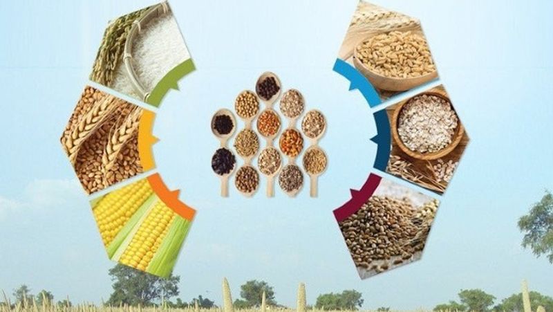 Right way to prepare and eat millets to be healthy and fit