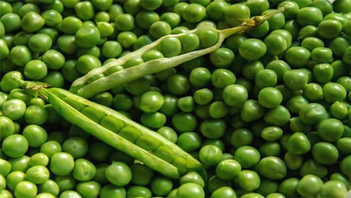 Know about how to preserve peas in freezer BDD Know about how to preserve peas in freezer BDD