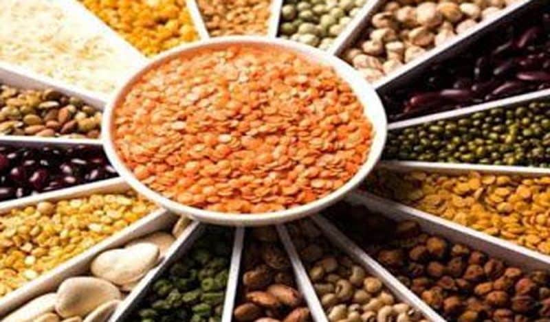 <p>भारत में कई तरह की दालें मिलती हैं। अलग-अलग दाल में अलग गुण होते हैं। जहां मसूर की दाल हल्की और सुपाच्य होती है वहीं अरहर की दाल डाइबिटीज, कैंसर और दिल की बीमारियां दूर होती है। <br />
</p>