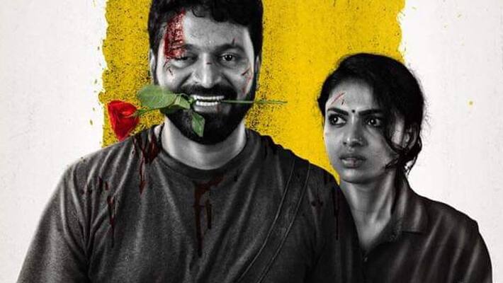 Rishab Shetty Hero wins over the box office RCB Rishab Shetty Hero wins over the box office RCB