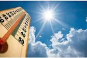 uae temperature recorded near 50 degree celcius 