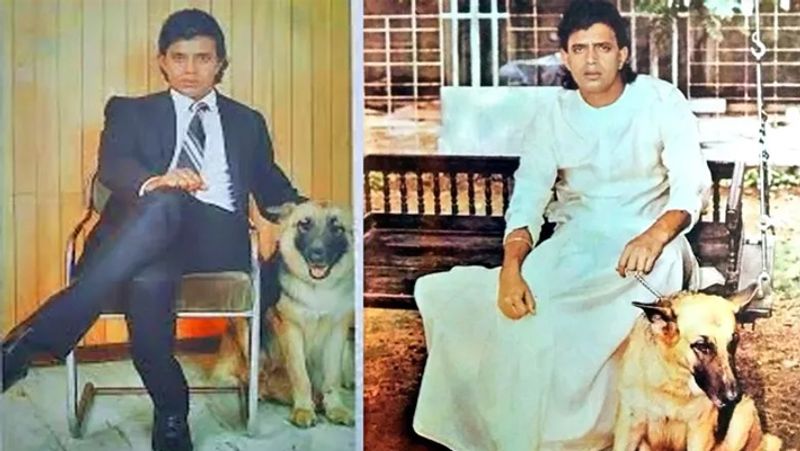 मिथुन कारों के बेहद शौकीन हैं। उनके पास फॉक्सवैगन, फोर्ड एंडेवर और टोयोटा फॉर्च्यूनर जैसी गाड़ियों के अलावा 1975 मॉडल मर्सिडीज बेंज भी मौजूद है। यह एक रियर व्हील ड्राइव कार है, जो अपने दौर में काफी बेहतरीन हुआ करती थी। मिथुन के पास फॉक्सवैगन 1975 मॉडल कार भी है।