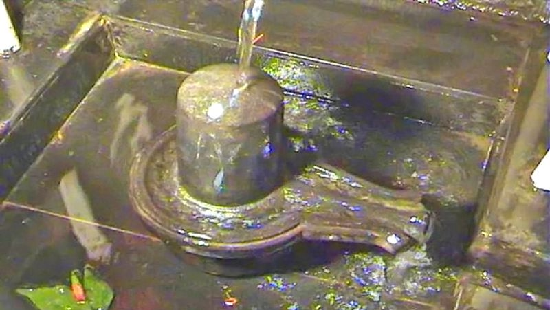 6. शिवरात्रि पर जल से भगवान शिव का अभिषेक करें। ऊँ नमः शिवाय मंत्र जाप करें। शाम को शिव मंदिर में 11 घी के दीपक जलाएं।
