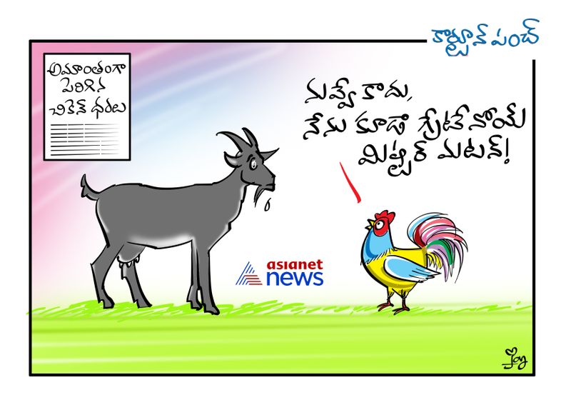 cartoon