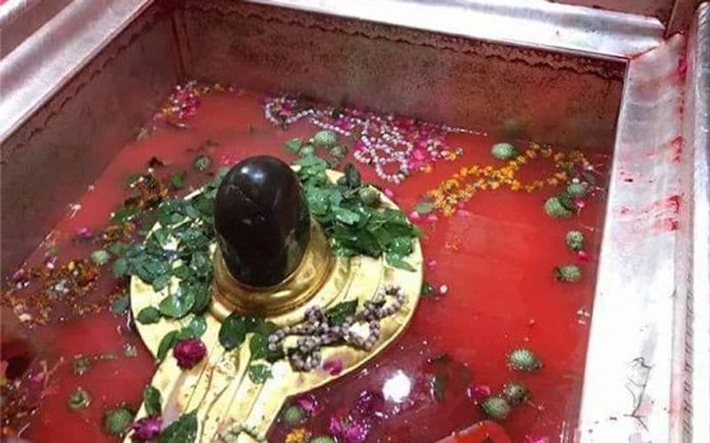 मैसेज से मिलेगी जानकारी
प्रवर अधीक्षक डाकघर, वाराणसी पूर्वी मंडल सुमीत कुमार गाट ने बताया कि, डाक विभाग ने इस बात के भी प्रबंध किए हैं कि, भक्तों को मोबाइल नंबर पर स्पीड पोस्ट का विवरण एसएमएस के माध्यम से मिलेगा। इसके लिए भक्तों को ई-मनीऑर्डर में अपना पूरा पता, पिन कोड और मोबाइल नंबर लिखना अनिवार्य होगा।
