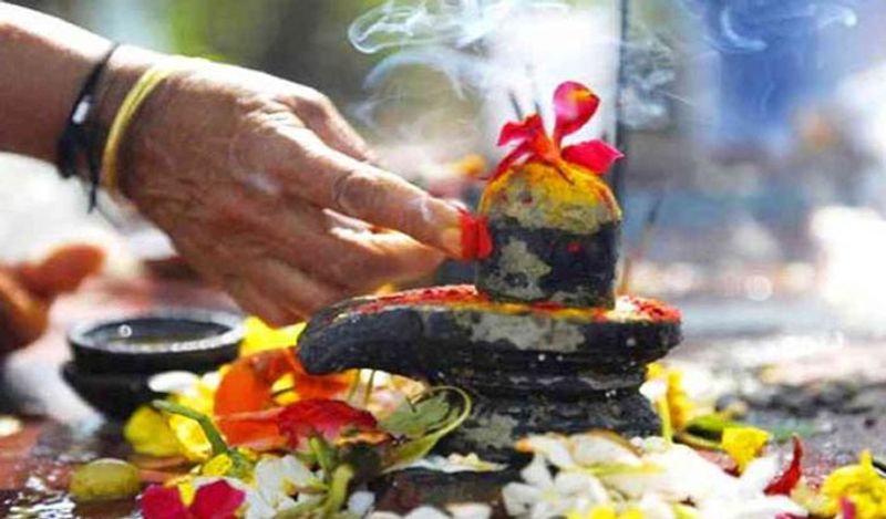 ऐसे में सवाल उठता है कि लोगों को व्रत के दौरान क्या खा सकते हैं? अगर आपने महाशिवरात्रि का व्रत रखा है तो आप कुछ ख़ास चीजें खा सकते हैं।