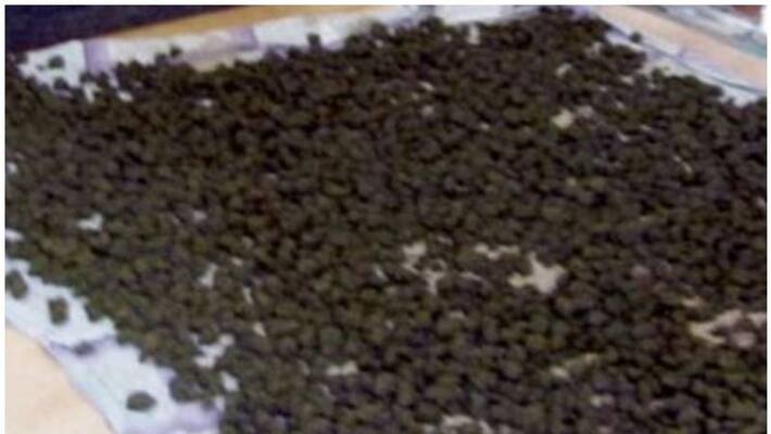 143 tonnes of tobacco products seized from illegal factory in Sharjah 143 tonnes of tobacco products seized from illegal factory in Sharjah