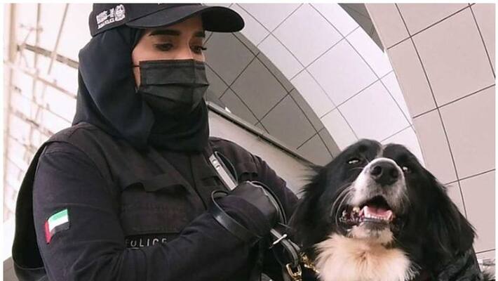 K9 police dogs used to detect covid cases in uae K9 police dogs used to detect covid cases in uae