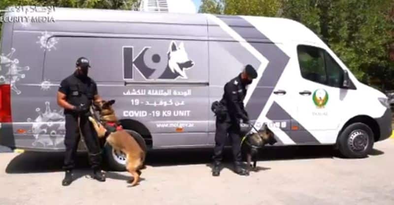 K9 police dogs used to detect covid cases in uae