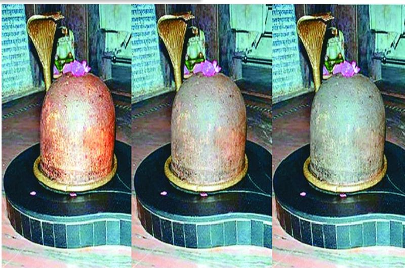 डर की वजह से कम आते हैं शिवलिंग
भक्तों के अनुसार यह शिव मंदिर करीब हजार वर्ष पुराना है। किसी को नहीं मालूम की इसकी स्थापना कब की गई। बुर्जुगों के अनुसार बीहड़ में यह मंदिर होने से यहां भक्त लोग डर की वजह से कम आते थे, क्योंकि यहां जंगली जानवरों और दस्युओं का आना-जाना लगा रहता था। स्थितियां बदलने लगी और अब दूर-दूर से भक्तगण आते हैं।
