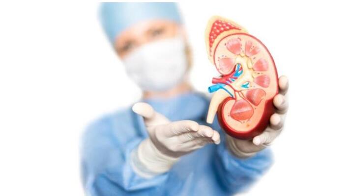 kidney cancer is comparatively more seen in males than females kidney cancer is comparatively more seen in males than females