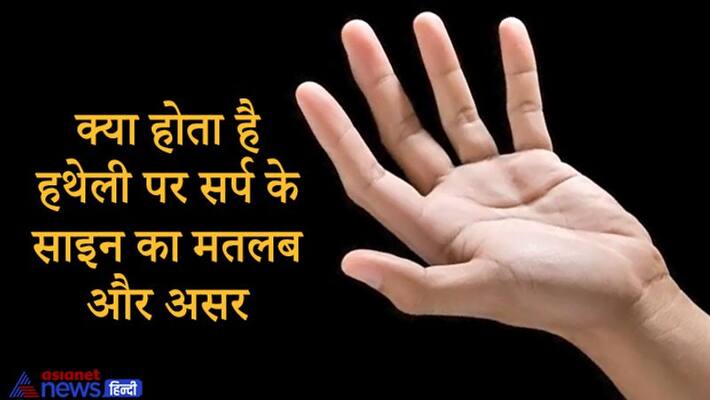 Know the effect of snake sign in palm KPI Know the effect of snake sign in palm KPI