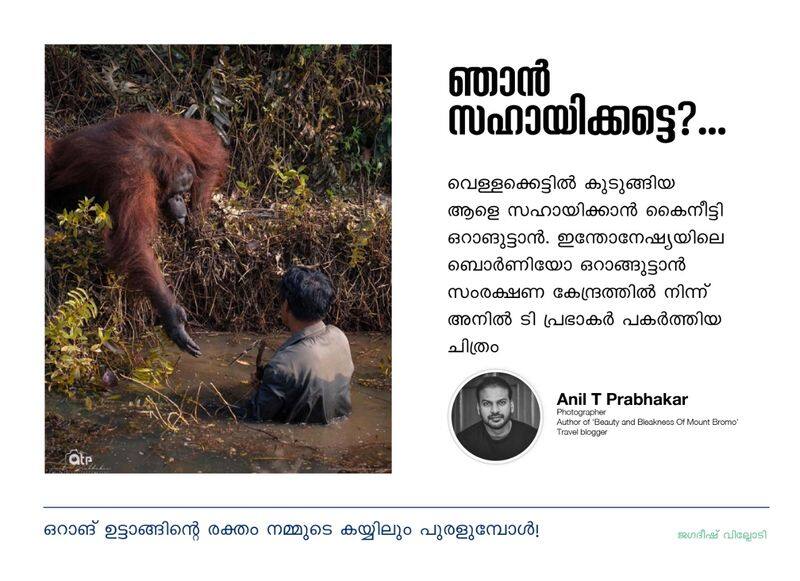 Jagadheesh Villodi facebook note on Orangutans