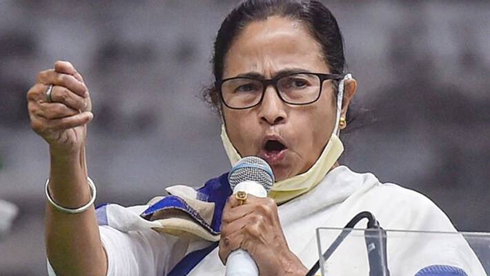 Mamta Banerjee said fake vaccination culprits will be punished, no can be escape DHA Mamta Banerjee said fake vaccination culprits will be punished, no can be escape DHA
