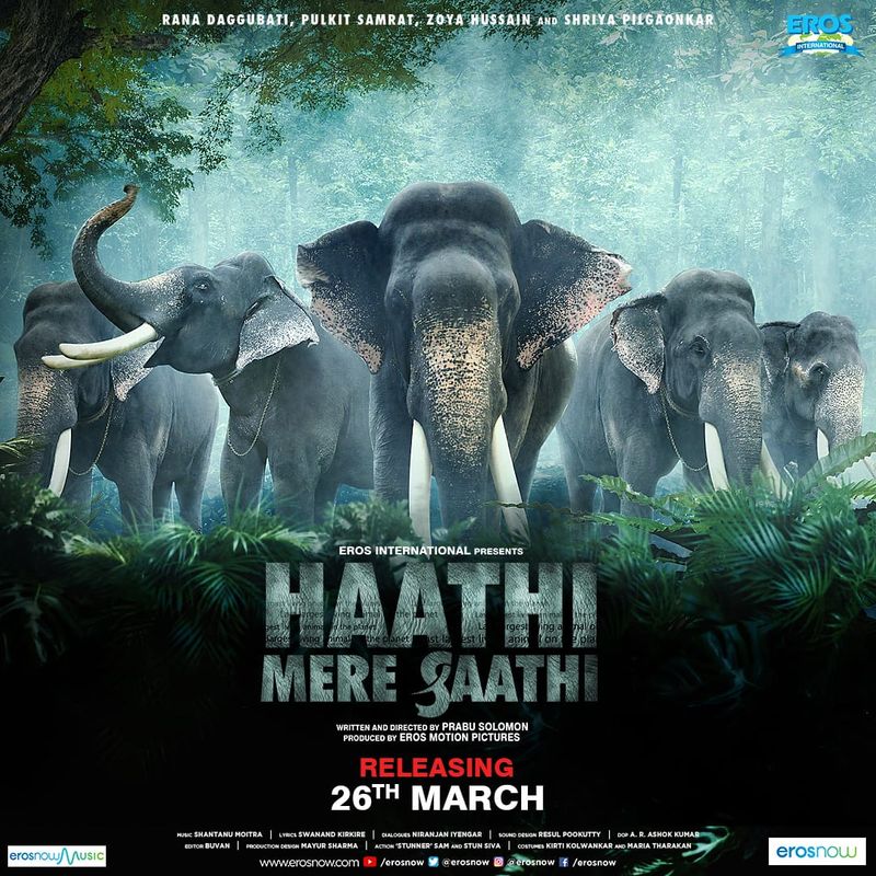 The film is produced by Eros Motion Pictures, a division of Eros STX Global Corporation, an established leader in the Indian film industry with a track record of over 40 years.