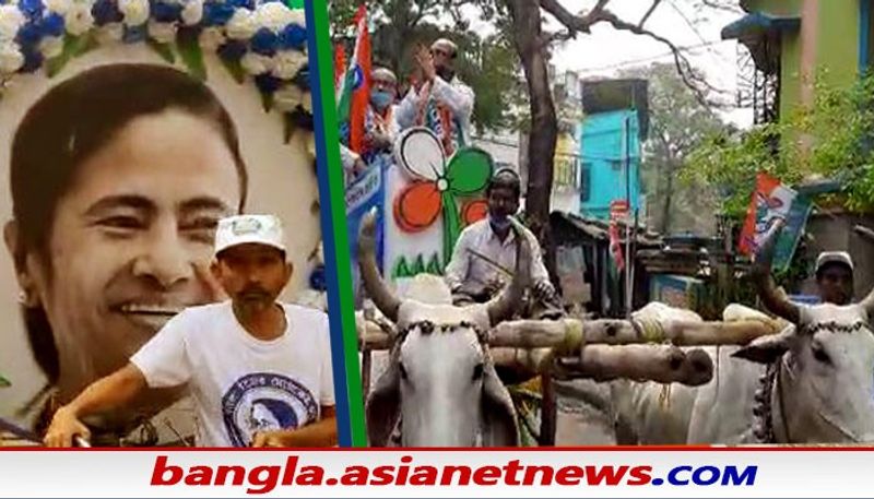 <p>গরুর গাড়িতে প্রচারে কসবার তৃণমূল প্রার্থী জাভেদ খান। <br />
</p>
