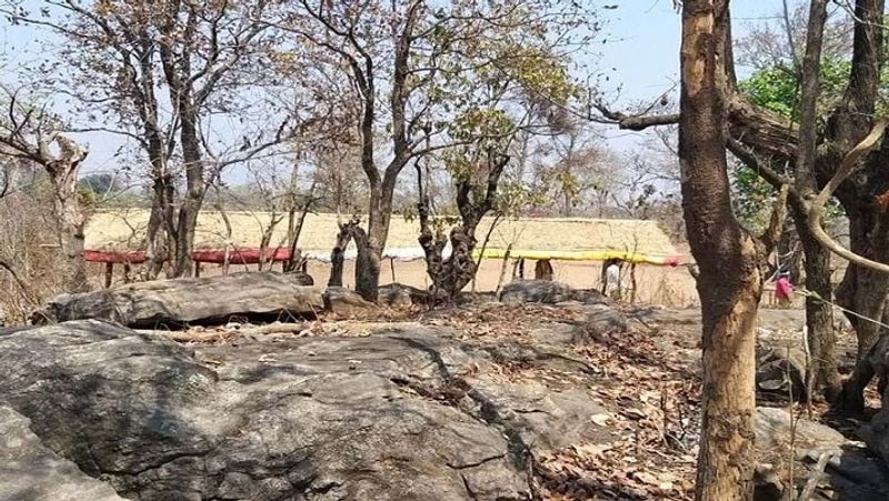 गांव में सभी के कपड़े फटे और पुराने थे। महिलाओं के कपड़े तो कई जगह से सिले होते थे। किसी के पांव में चप्पल तक नहीं होती। इसके बावजूद मालती ने पति और दूसरे लोगों के साथ मिलकर गांव में शिक्षा की जो अलख जगाई, उससे गांव में उम्मीद की एक नई किरण फैली। कभी स्कूल में बच्चों की संख्या में कमी भी आती, लेकिन फिर समझाने पर ज्यादा बच्चे आने लगे। मालती, बांका और भरत ने स्थानीय एमएलए नेपाल महतो की सहायता मिली। उन्होंने स्कूल में मिड डे मील दिए जाने की व्यवस्था कराई। फिलहाल मालती के स्कूल में 135 बच्चे पढ़ाई कर रहे हैं।