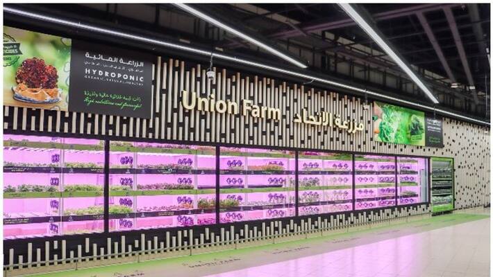 Union Coops latest in house Organic Farming Concept Debuts at Al Warqa City Mall Union Coops latest in house Organic Farming Concept Debuts at Al Warqa City Mall