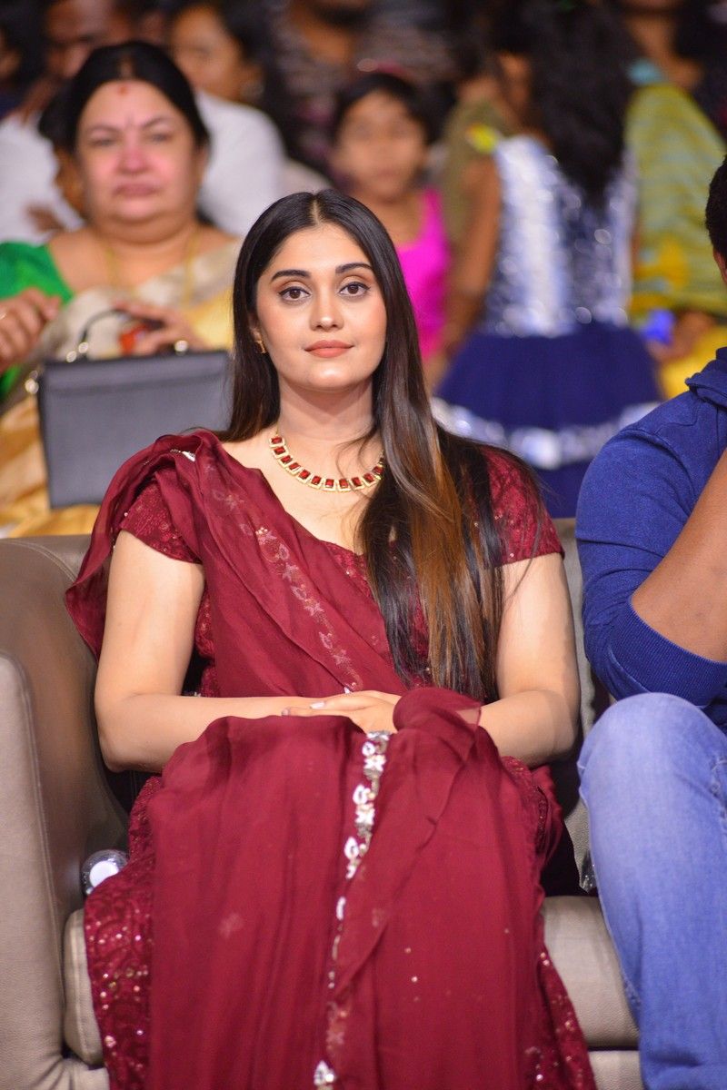 `శశి` ప్రీ రిలీజ్ ఈవెంట్ ఫోటోలు.