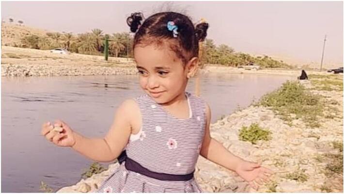 riyadh mayor ordered investigation on death of a girls due to stray dog attack riyadh mayor ordered investigation on death of a girls due to stray dog attack