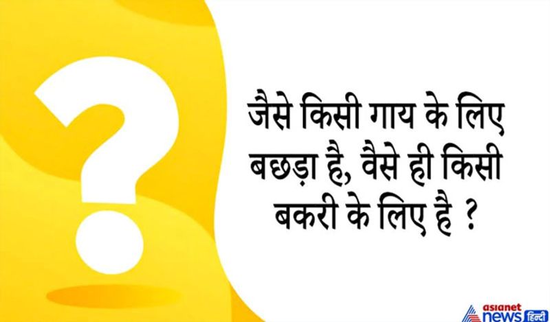 जवाब. मेमना