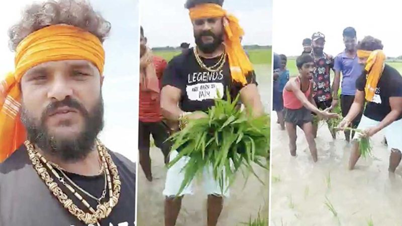 यही नहीं, खेसारी अपने सपनों के पीछे इस तरह पागल थे कि उन्होंने फोर्स की भी नौकरी छोड़ दी थी। एक्टर ने बचपन में बेहद गरीबी के दिन देखे हैं। 