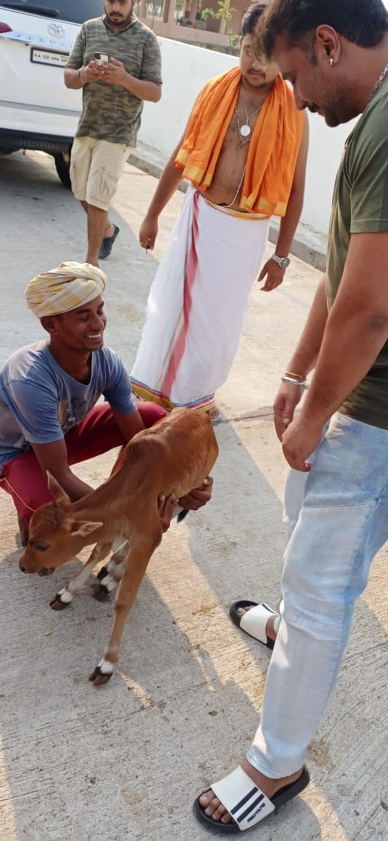 <p>ಕರುವಿನ ಜೊತೆ ಕೆಲ ಸಮಯ ಕಳೆದ ನಟ ದರ್ಶನ್</p>