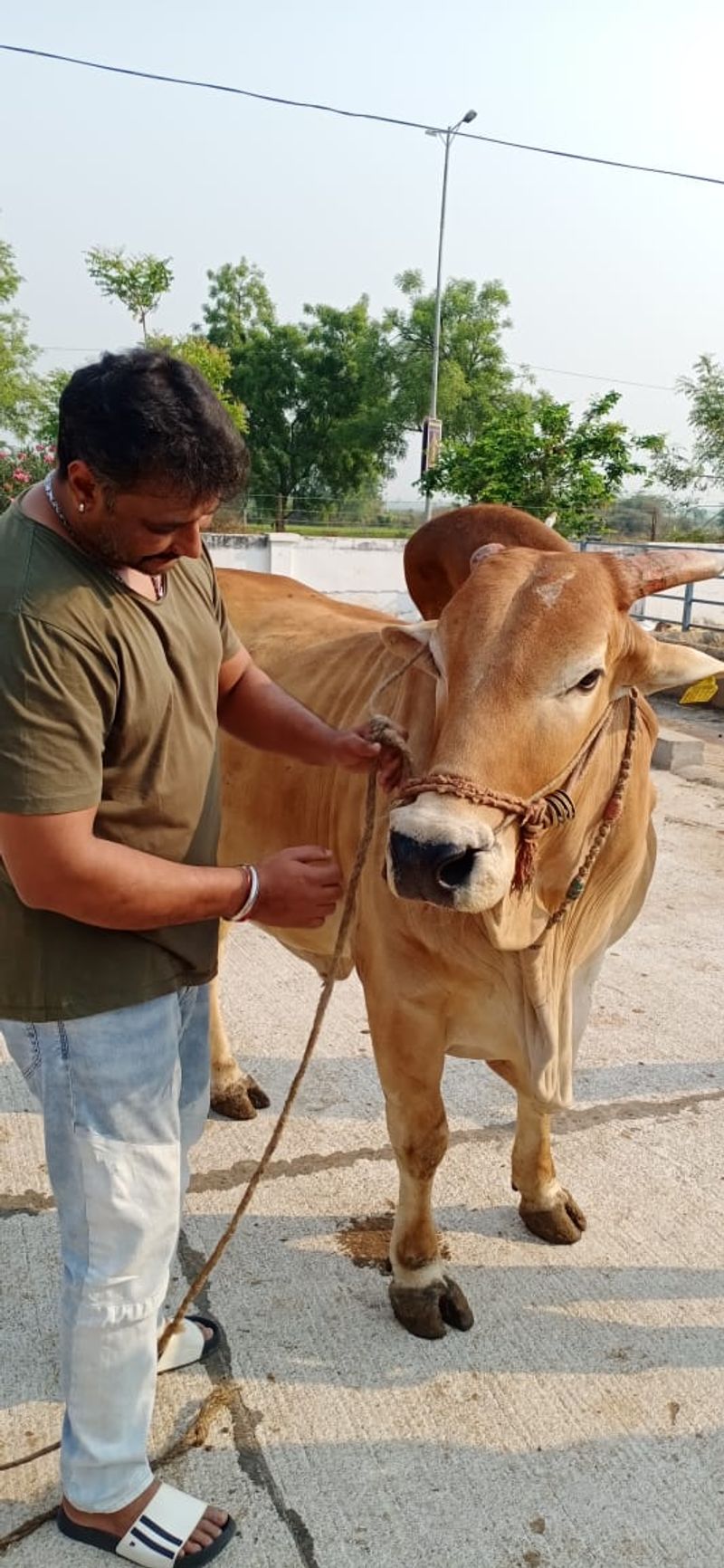 <p>ರಾಬರ್ಟ್ ಯಶಸ್ಸಿನಲ್ಲಿರುವ ಡಿ-ಬಾಸ್, ಮಂತ್ರಾಲಯ ರಾಯರ ಆಶೀರ್ವಾದ ಪಡೆದಿದ್ದಾರೆ.</p>