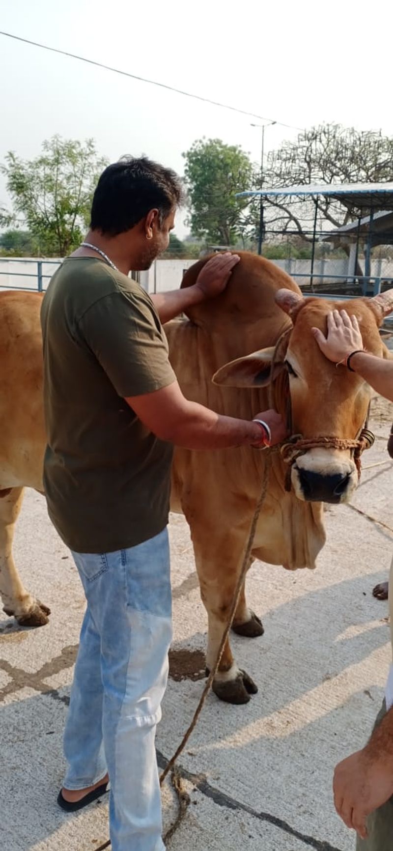 <p>ಮಂತ್ರಾಲಯದಲ್ಲಿ ಶ್ರೀ ರಾಘವೇಂದ್ರ ಸ್ವಾಮಿ ಶ್ರೀ ಗುರು ವೈಭವೋತ್ಸವ ನಡೆಯುತ್ತಿದ್ದು ದರ್ಶನ್ ಹಾಗೂ ಸ್ನೇಹಿತರು ಭಾಗಿಯಾಗಿದ್ದರು.</p>