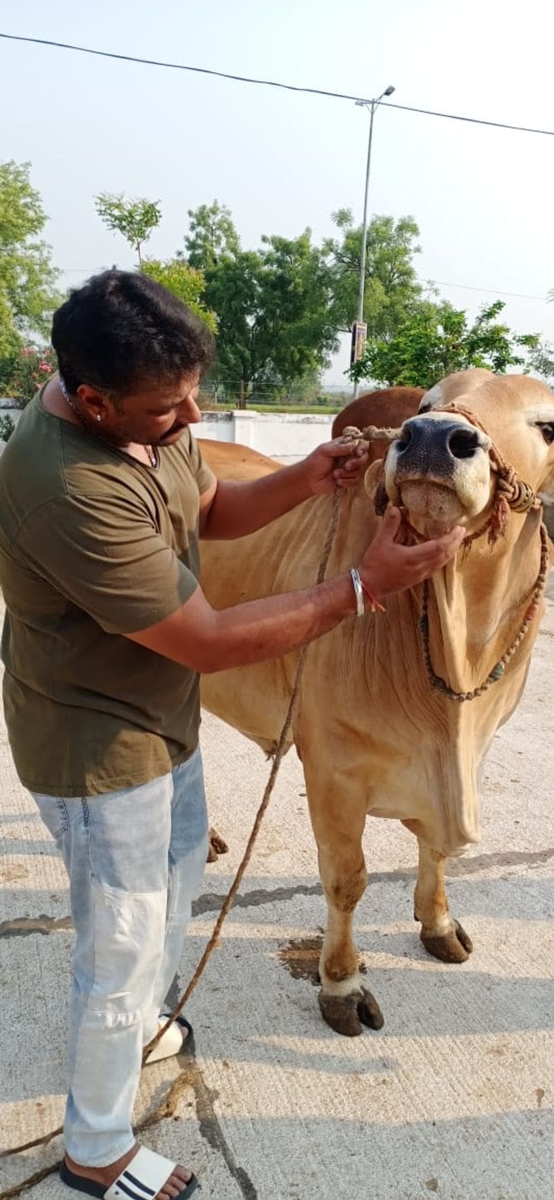 <p> ಚಿಕ್ಕ ವಯಸ್ಸಿನಿಂದಲೂ ದರ್ಶನ್ಗೆ ಗೋವುಗಳ ಸಾಕಿ ನೋಡಿ ಬೆಳೆದಿರುವ ಕಾರಣ ಸುಲಭವಾಗಿ ಅವುಗಳ ಜೊತೆ ಹೊಂದಿಕೊಳ್ಳುತ್ತಾರೆ.</p>