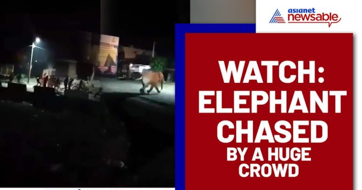 Huge crowd chased an Elephant; Video goes viral